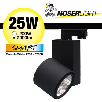 NOSER Euro-Track LED Spotleuchte 38°, 25W, Tuya Smart, schwarz