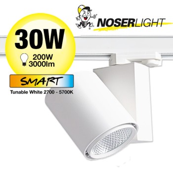 NOSER Euro-Track LED Spotleuchte 15°, 30W, weiss, Tunable White