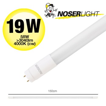 NOSER T8 LED tube, matt, G13, 150cm, 19W, 3040lm, 4000K