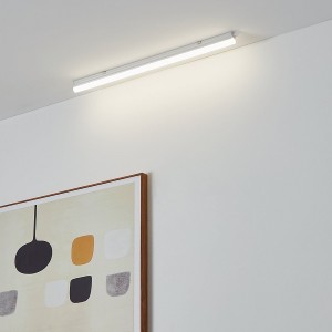LED Wall and Ceiling Light DUNDRY, white