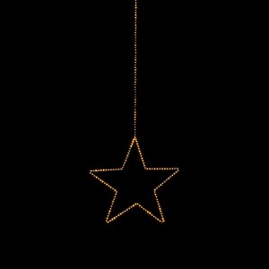 Angel Star black L